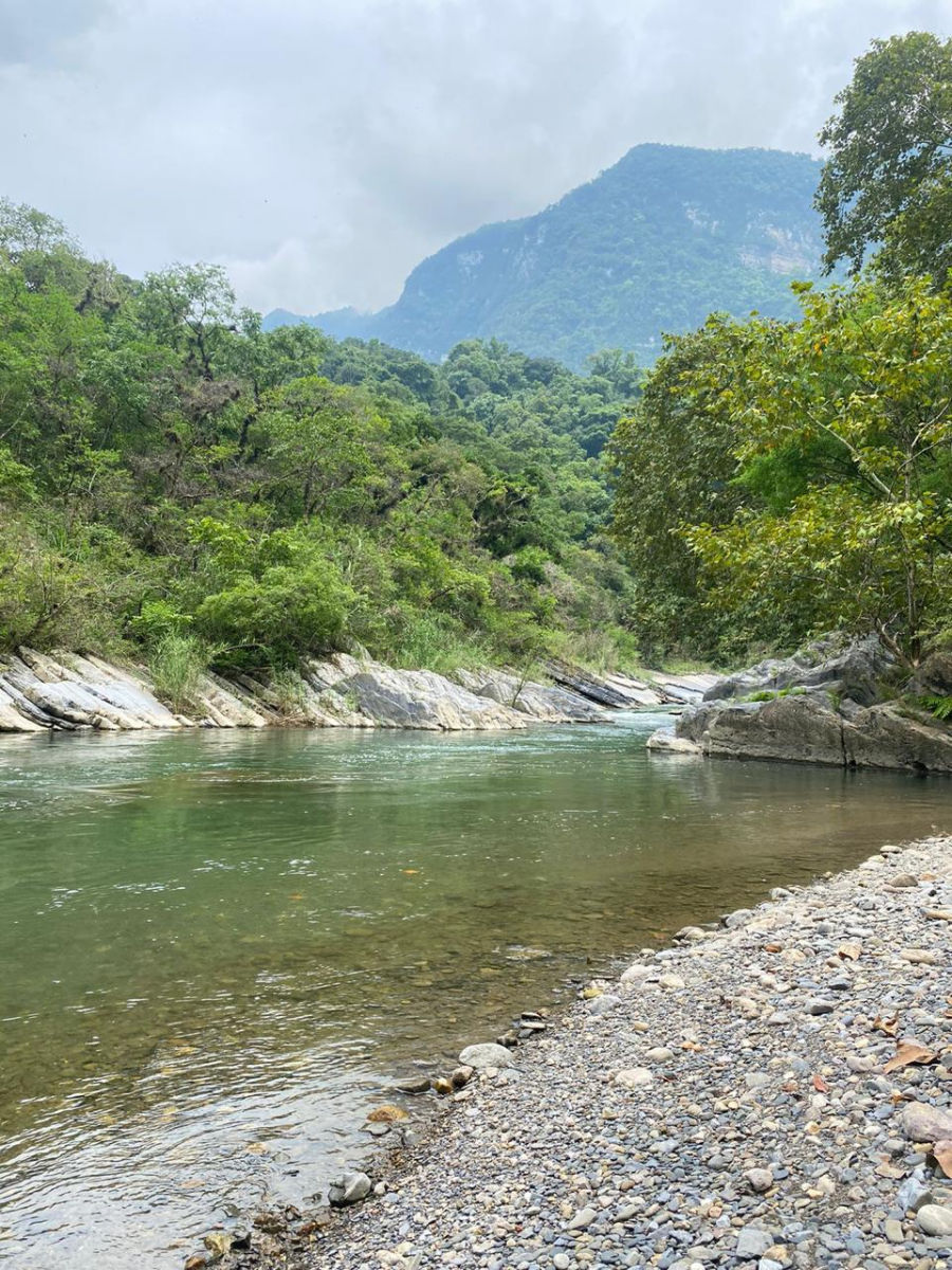 Colocan cámaras trampa para monitorear fauna en bellos rincones de Hidalgo