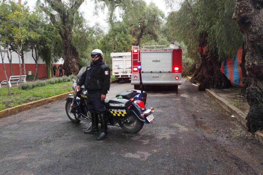 Cae árbol sobre una camioneta en Pachuca; hay cierre de avenida