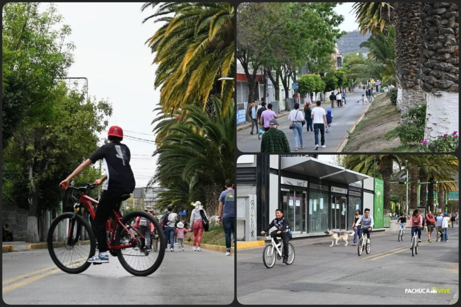 Este podría ser el último domingo peatonal en avenida Revolución de Pachuca; se someterá a consulta