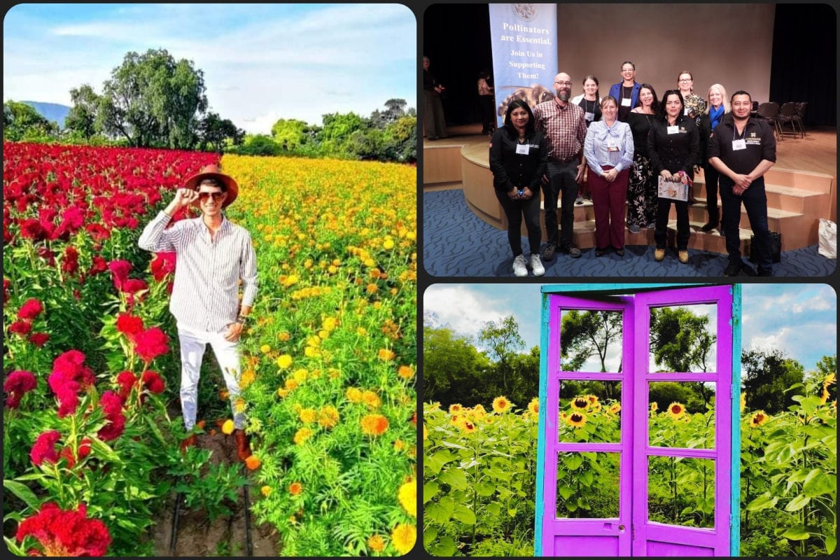 Rancho de Hidalgo recibe premio internacional por su Gran Santuario de la Abeja