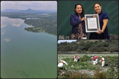 Publican decreto para la restauración ecológica de la presa más contaminada de México, localizada en Hidalgo