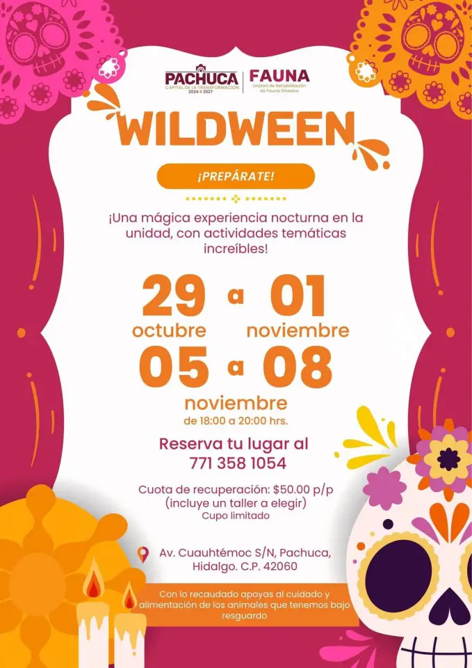 Pachuca tendrá su 'Wildween', una mágica experiencia nocturna en la Unidad de Fauna Silvestre