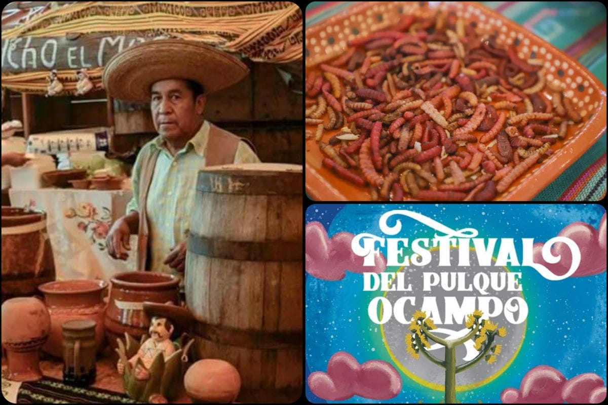 Festival del Pulque Ocampo: aquí viene la celebración más grande de la bebida milenaria en Hidalgo