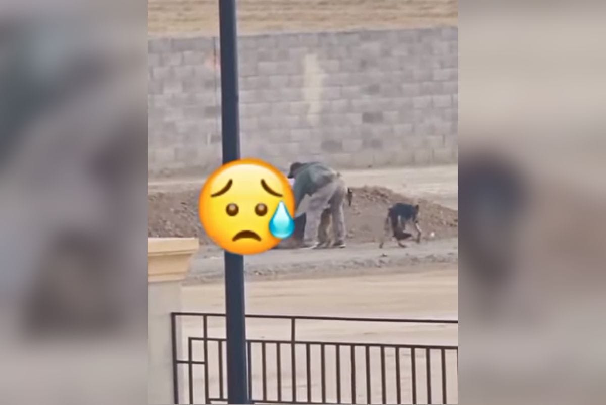 ¡Maltrato animal! Captan a sujeto agrediendo con machete a perritos en el sur de Pachuca