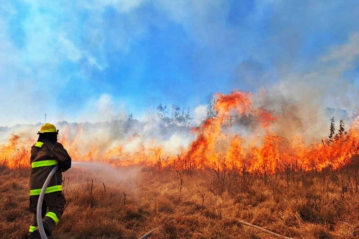 Se registra voraz incendio de pastizal en la colonia El Tezontle