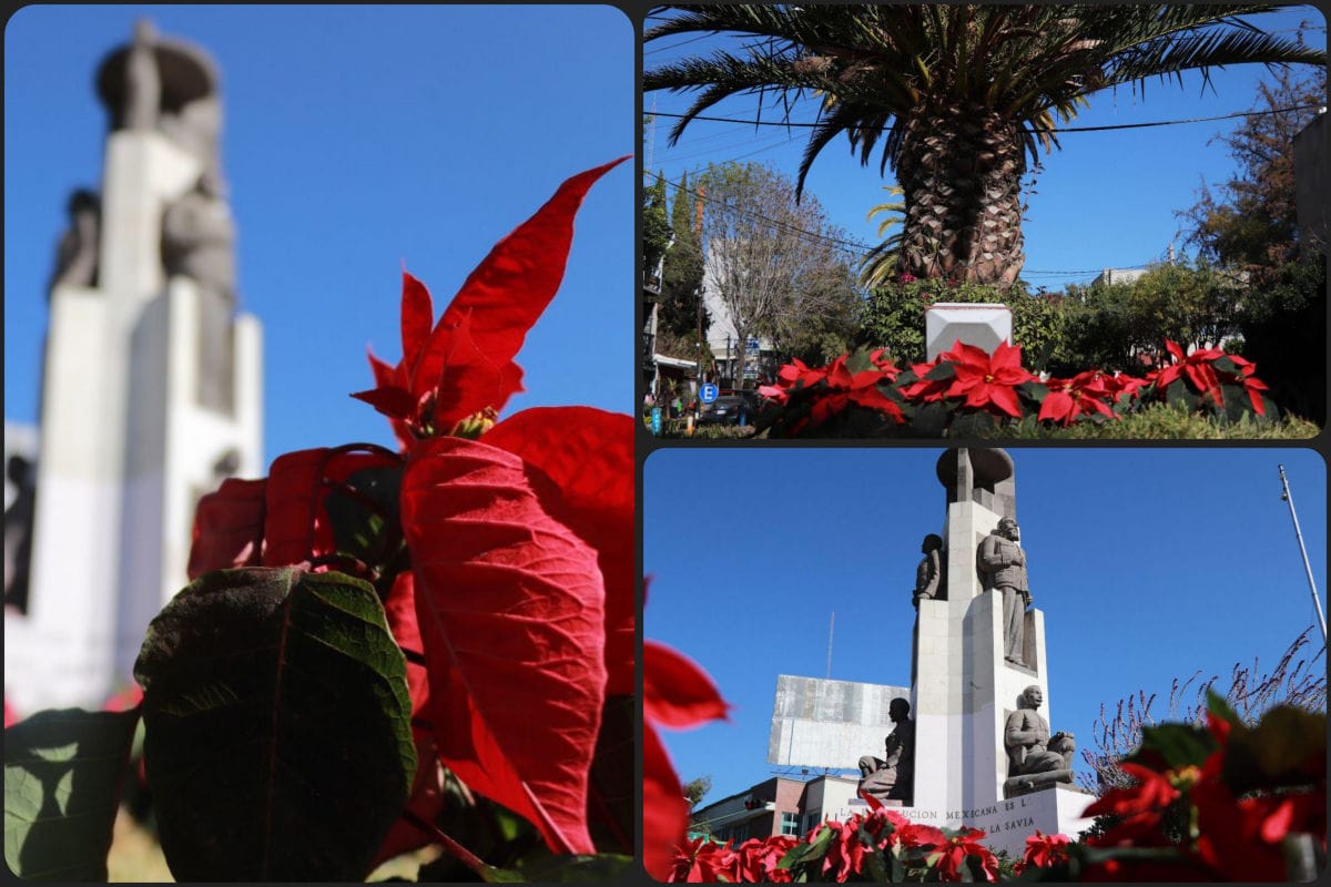 Un toque de tradición floral mexicana en Pachuca: colocan más de 3 mil nochebuenas en glorietas y avenidas