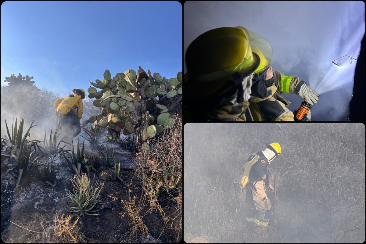 Quemas intencionales y viento propagan incendios en Pachuca