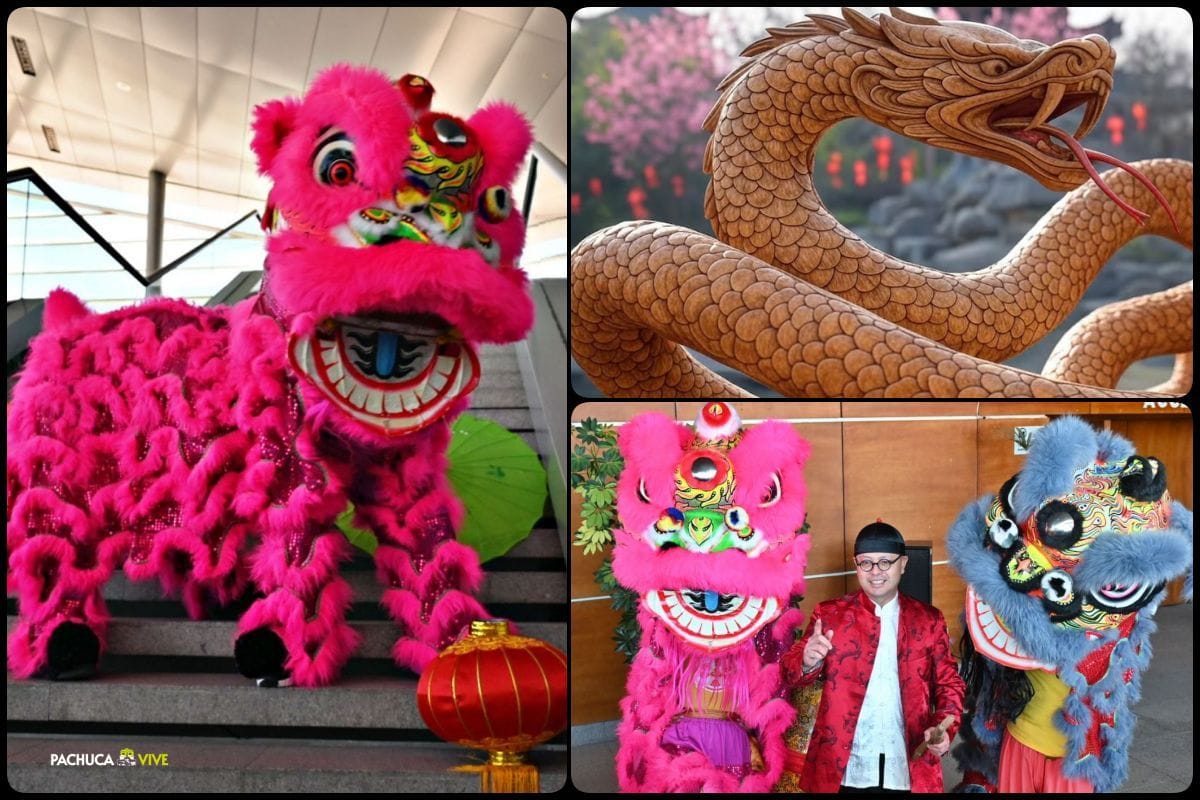 ¡Feliz Año Nuevo Chino! No te pierdas la gran celebración en Pachuca por el Año de la Serpiente de Madera