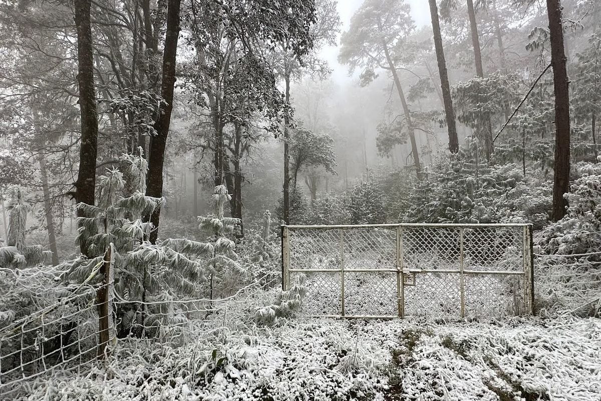 Hidalgo bajo cero: se registraron temperaturas extremas de hasta -4 grados, según Protección Civil