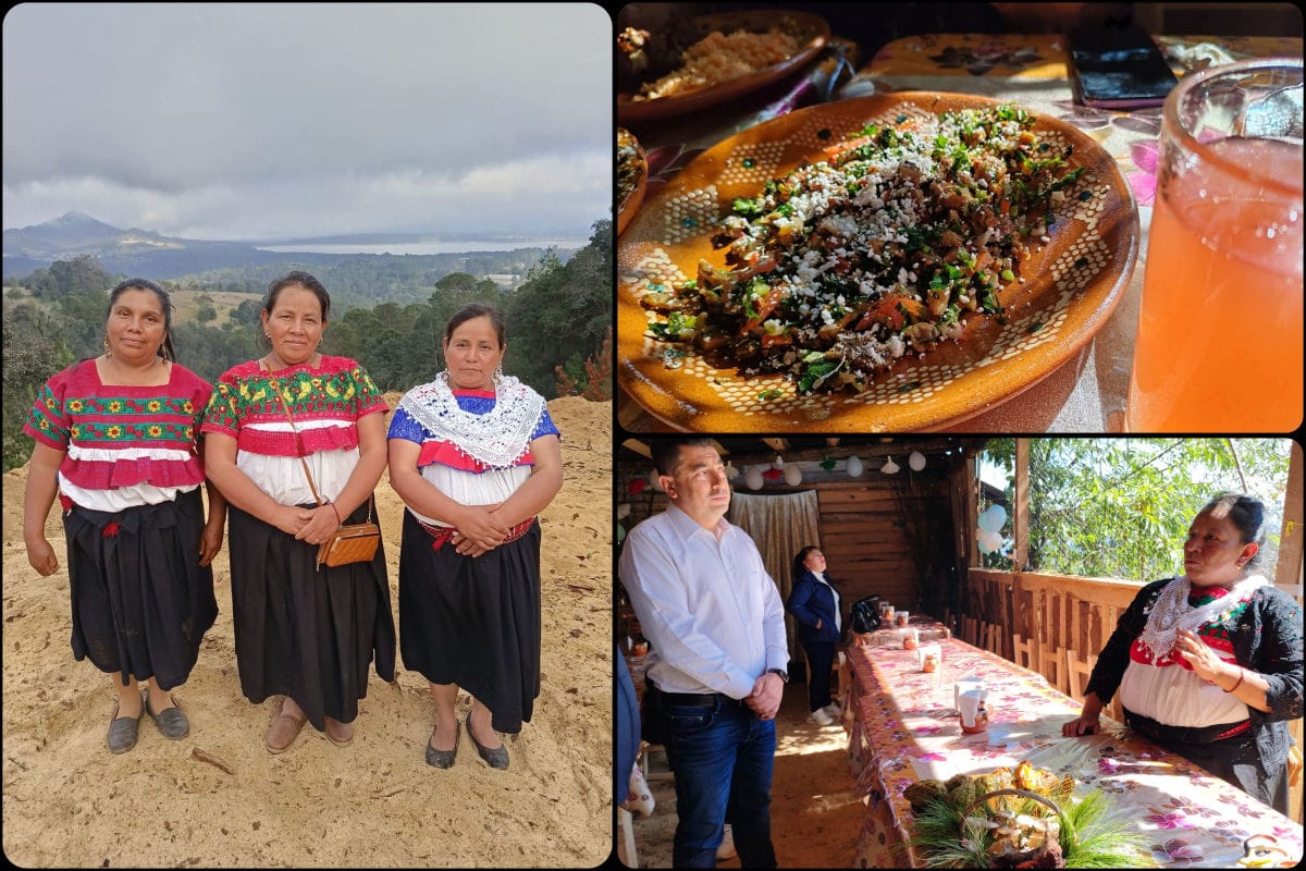 Casa de las hongueras: un proyecto de cocineras tradicionales hecho realidad en Acaxochitlán