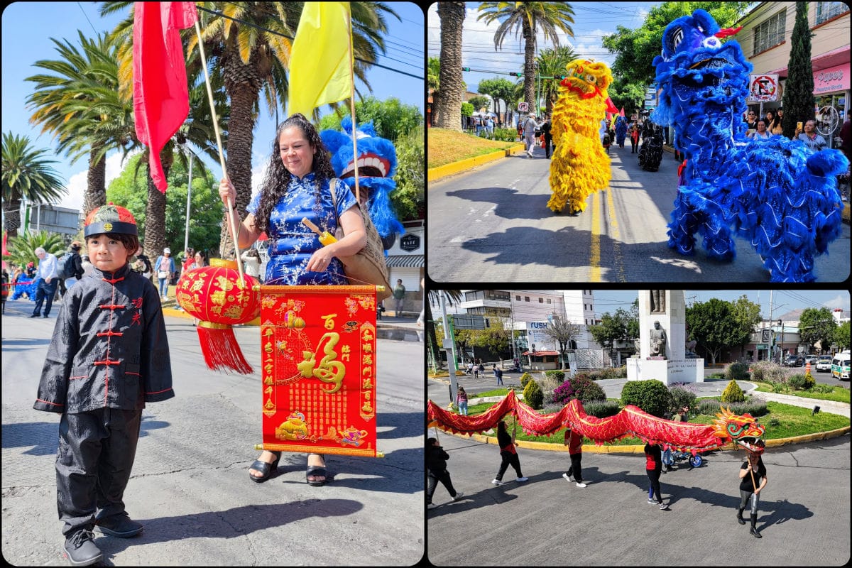 ¡Color, cultura y celebración! Así se vivió en Pachuca el desfile por el Año Nuevo Chino (fotos y video)