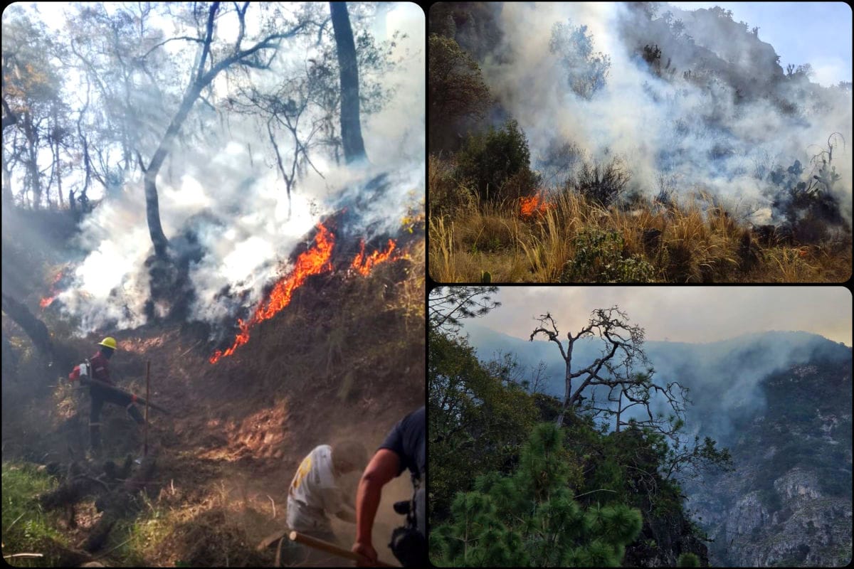 Dura labor de brigadistas para combatir incendios forestales en Hidalgo; aún quedan dos siniestros activos